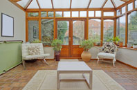 free Clune conservatory quotes